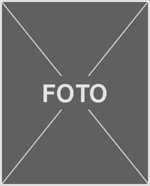 ansprechpartner enrico griese